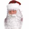 Santa Beard And Wig Set -Fancydress Shop 19026