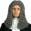 Judges Wig Grey Adult -Fancydress Shop 19722
