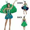 Peacock Adult 1 Peacock Adult -Fancydress Shop 21248