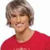 Teenage Hottie Wig - Blonde Adult 1 Teenage Hottie Wig - Blonde Adult -Fancydress Shop 34327