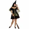 Sexy Wicked Witch Adult Plus Costume -Fancydress Shop 38690