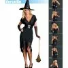 Sexy Hocus Pocus Six In One Witch Adult Costume