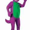 Adult Barney Costume